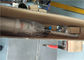 Короткий тип воздух масляного насоса бочонка трубки 600mm пневматический привелся в действие насос поршеня RongXing
